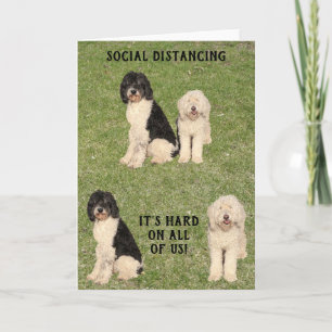 Tarjeta Perros Golden Doodle de distanciamiento social