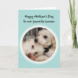Tarjeta Perros graciosos, el día favorito de mi madre