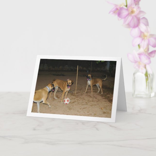 Tarjeta Perros Jugando Fútbol por la Noche (Orquídea)