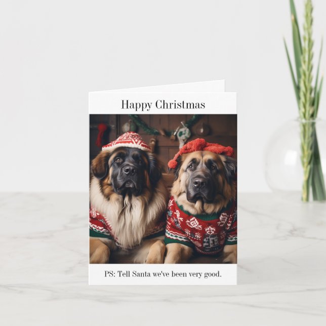 Tarjeta Perros Leonberger en sudaderos Navidades (Anverso)