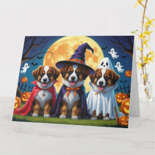 Tarjeta Perros Pastores Belgas Calabaza Halloween Divertid