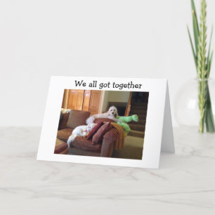 TARJETA PERROS VIENDO CRAZY GATS PELÍCULA DICE FELIZ CUMPL