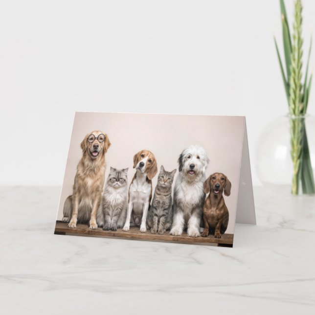 Tarjeta Perros y gatos de cumpleaños  (Anverso)