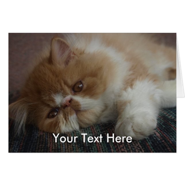 Tarjeta persa del gatito (Anverso (Horizontal))