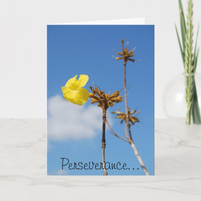 Tarjeta Perseverencia (Anverso)