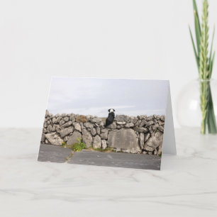 Tarjeta Persiga sentarse en una pared de piedra irlandesa