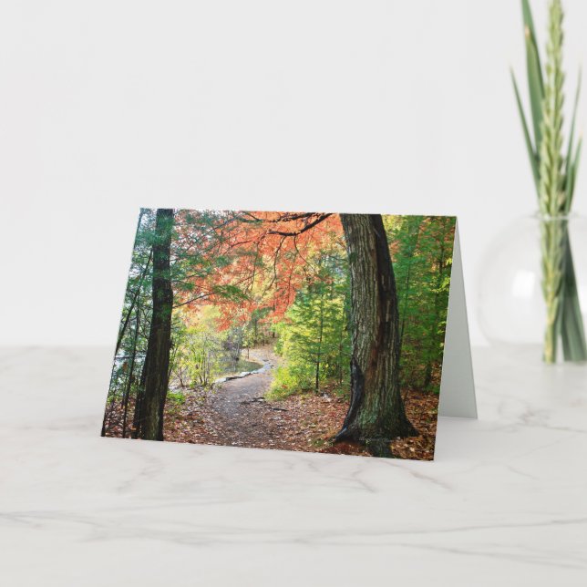 Tarjeta Persiga una trayectoria del amor y de la (Anverso)