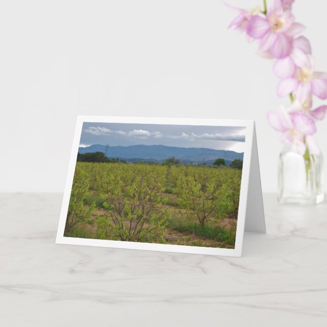 Tarjeta Persimmon Trees y Mountain Landscape Card (Orquídea)