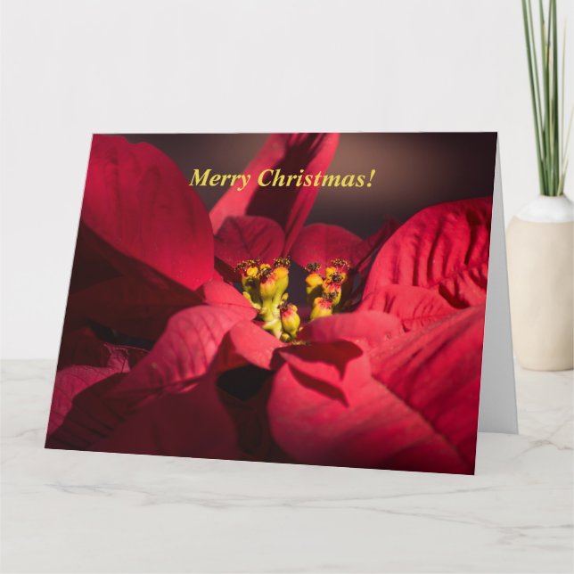 Tarjeta Personaliza a los Navidades con la poinsettia roja (Anverso)