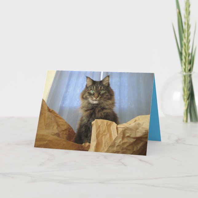 Tarjeta personalizable de gatito Maine Coon Kitty  (Anverso)