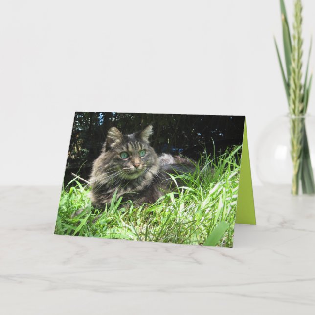 Tarjeta Personalizable de Gatito Maine Coon Lindo (Anverso)