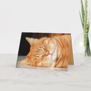 Tarjeta Personalizable de Gatito Naranja Lindo