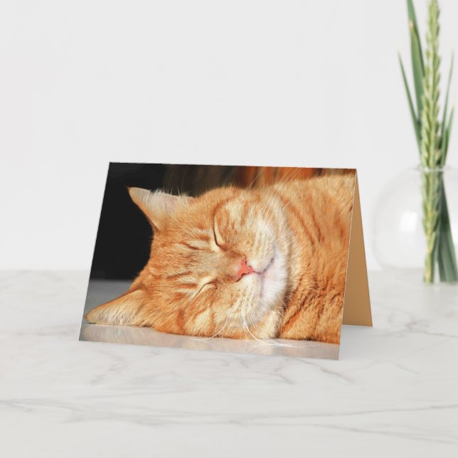 Tarjeta personalizable de gatito naranja lindo (Anverso)