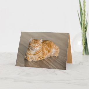 Tarjeta personalizable de gatito naranja lindo