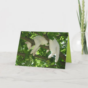 Tarjeta Personalizable Gatito Bonito Gatito Lindo