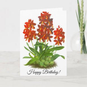 Tarjeta personalizada de flor de orquídea roja nar