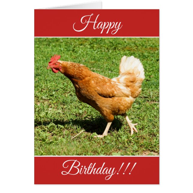 Tarjeta personalizada del gallo del feliz (Frente)