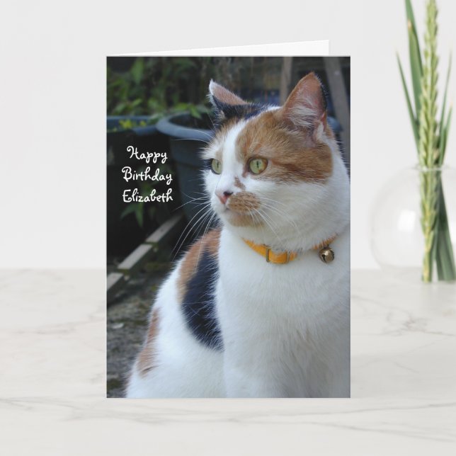 Tarjeta Personalizado Calico lindo gato Cumpleaños (Anverso)