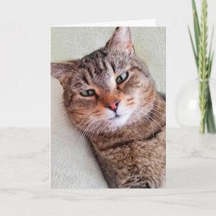 Tarjeta Personalizado Cat Miss You A Lot Card