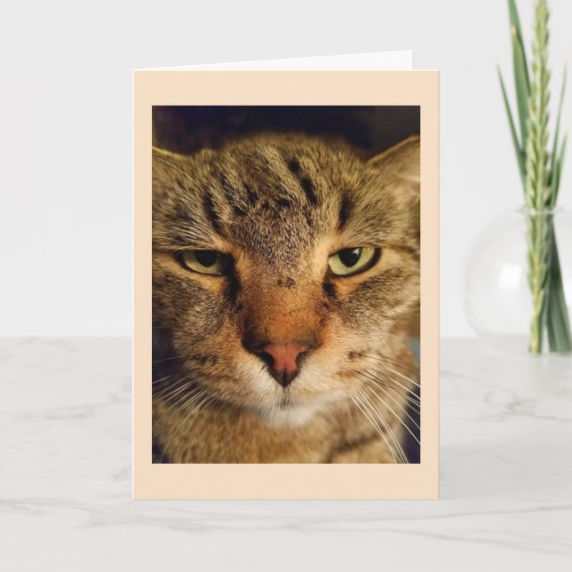 Tarjeta Personalizado Cat Photo Miss You (Anverso)