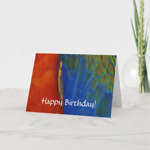 Tarjeta Personalizado Colorful Macaw Parrot Feather Cumple