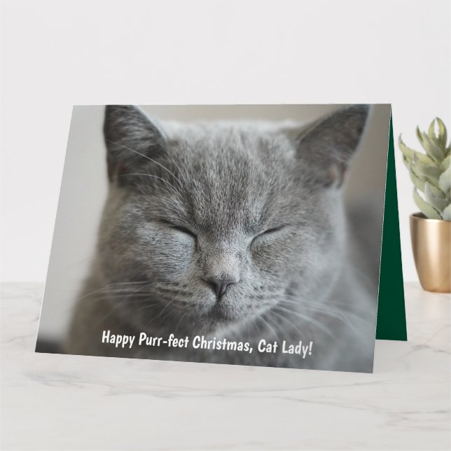 Tarjeta Personalizado Cute Gray Kitty Photo Purr Navidades (Planta pequeña)