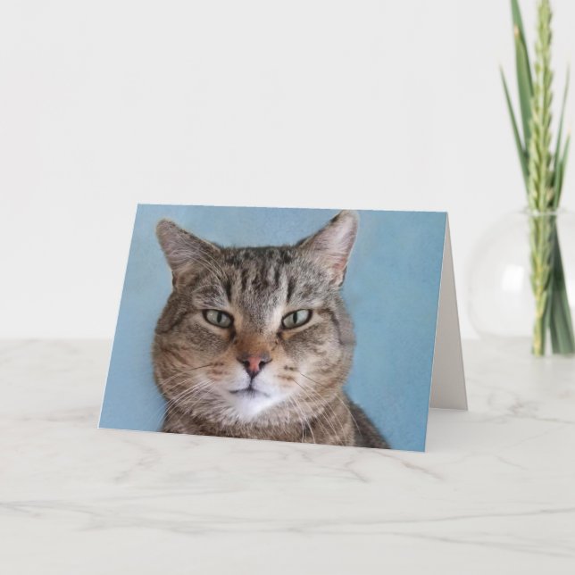 Tarjeta Personalizado Cute Kitty "From The Cat" Cumpleaños (Anverso)