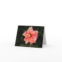 Personalizado de flores de color rosa dulce Hibisc