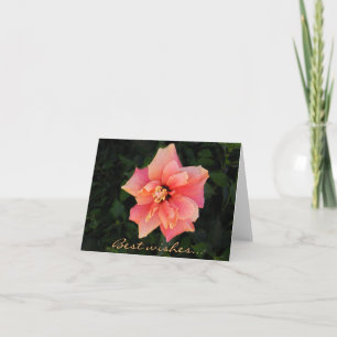 Tarjeta Personalizado de flores de color rosa dulce Hibisc