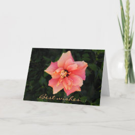 Tarjeta Personalizado de flores de color rosa dulce Hibisc