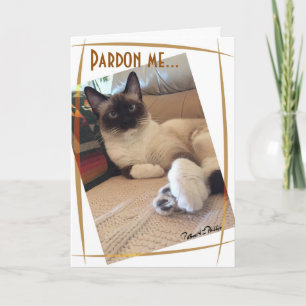 Tarjeta Personalizado de fotografía de cierre de gatitos s