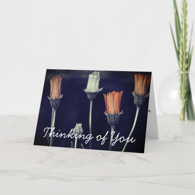Tarjeta Personalizado de fotografías de la margarita de la (Anverso)