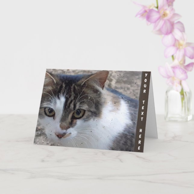 Tarjeta Personalizado en la ventana (Orquídea)