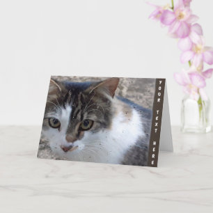 Tarjeta Personalizado en la ventana