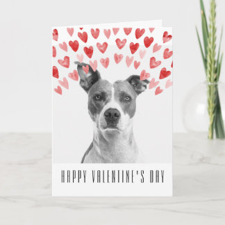 Tarjeta Personalizado feliz Día de San Valentín del perro
