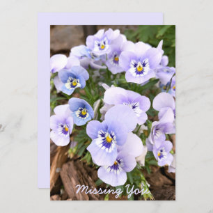 Tarjeta Personalizado fotográfico Pastel Purple Pansies