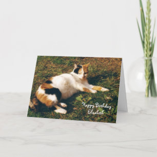 Tarjeta Personalizado gato calico bronceado Cumpleaños