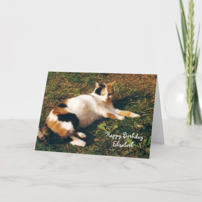 Tarjeta Personalizado gato calico bronceado Cumpleaños (Anverso)