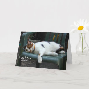 Tarjeta Personalizado gato calico curvado silla Cumpleaños