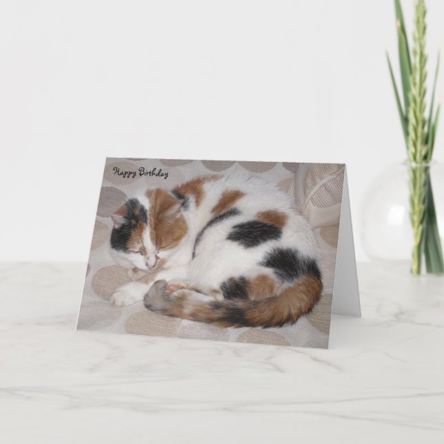 Tarjeta Personalizado gato de Calico curvado dormido Cumpl (Anverso)