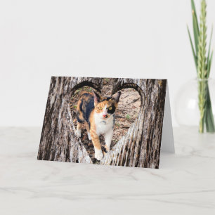 Tarjeta ¡personalizar con su propia foto!