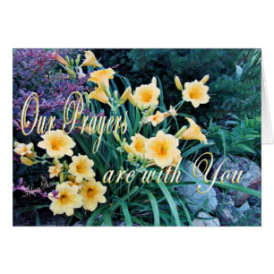 Tarjeta-personalizar de DayLilyPrayer