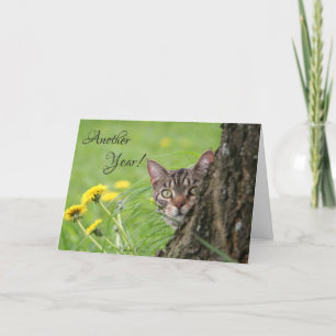 Tarjeta Personalizar de la Naturaleza Tabby del Gato Graci