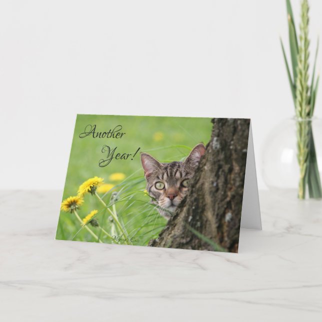 Tarjeta Personalizar de la Naturaleza Tabby del Gato Graci (Anverso)
