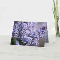 Personalizar Floreciente de la lila cualquier