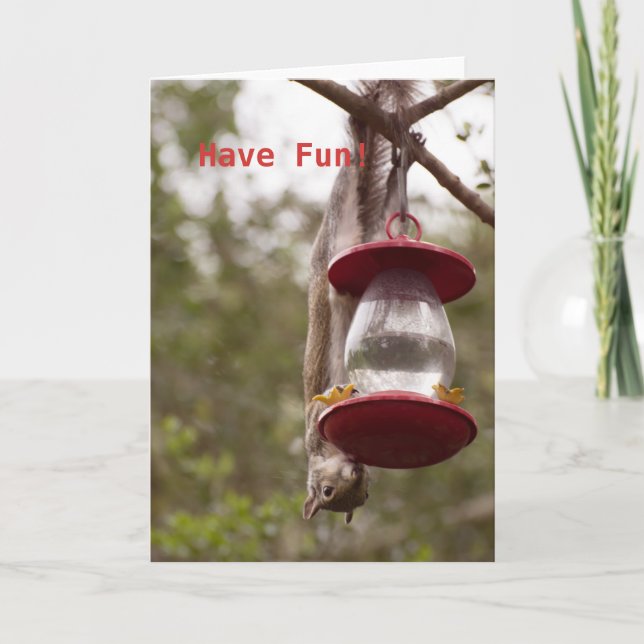 Tarjeta Personalizar la ardilla boca abajo en el alimentad (Anverso)