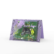 Personalizar secreto de la hermana Servicio-Bfly