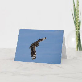 Tarjeta Perú corto hawaiano crece