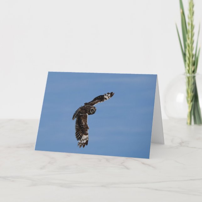 Tarjeta Perú corto hawaiano crece (Anverso)