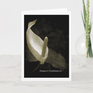 Tarjeta Pésames más sinceros